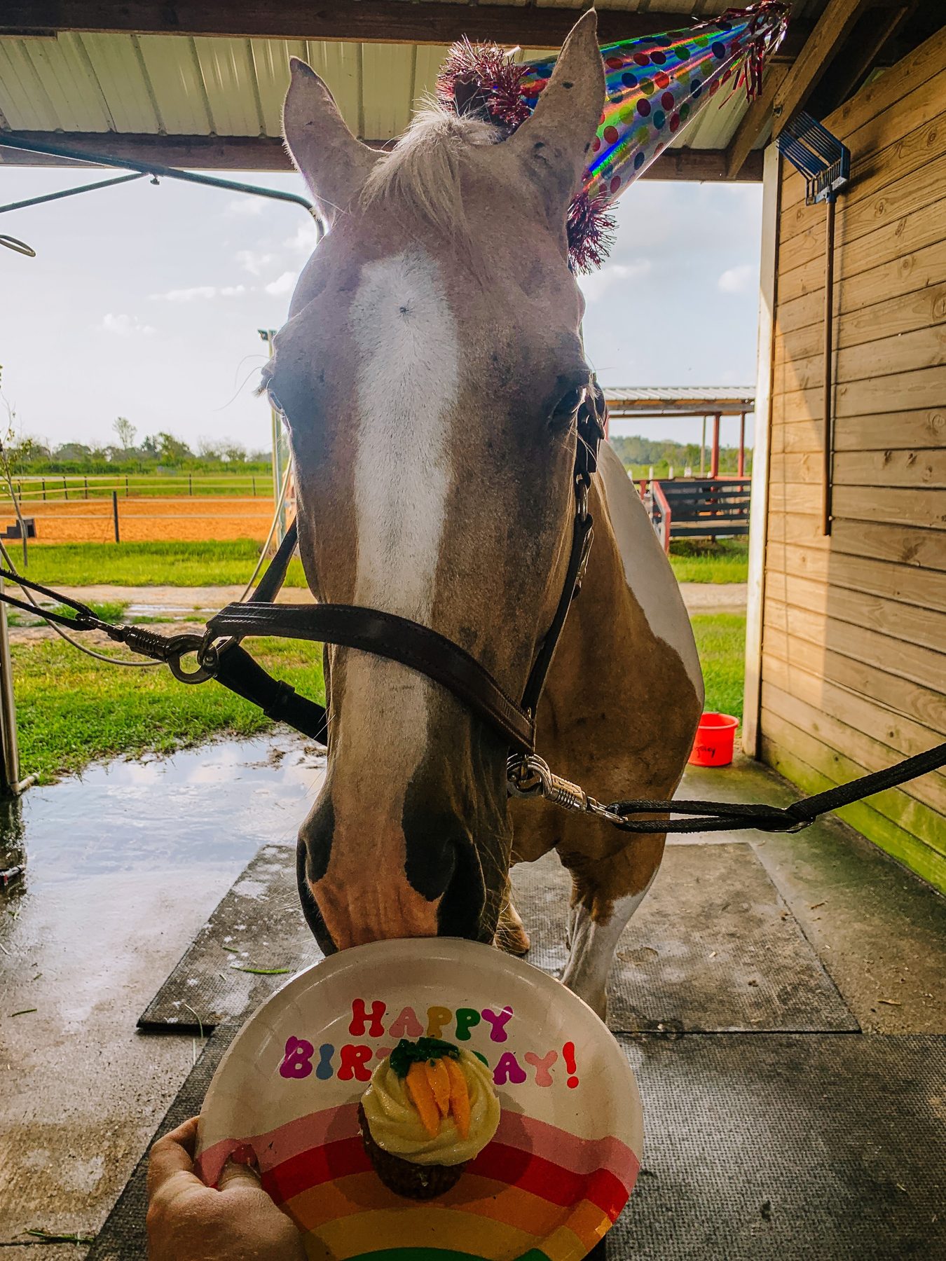Marshall on his birthday