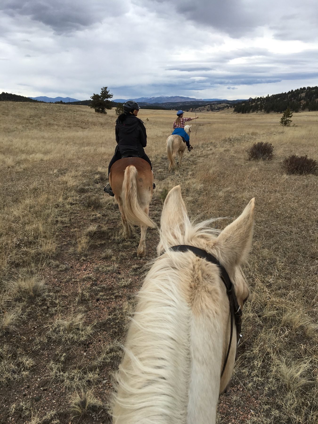 Out on the trail